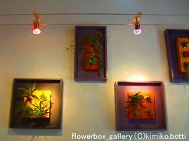 flowerbox(C)kimiko.botti