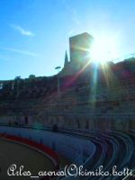 arles_arenes(C)kimiko.botti