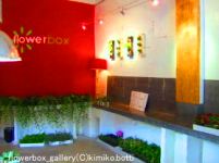 flowerbox2(C)kimiko.botti