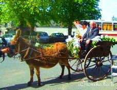 mariage(C)kimiko.botti