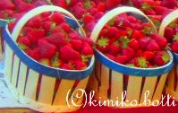 fraises(C)kimiko.botti