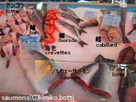 poissons(C)kimiko.botti