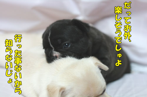 �ե����֥�ɥå����Ҹ�