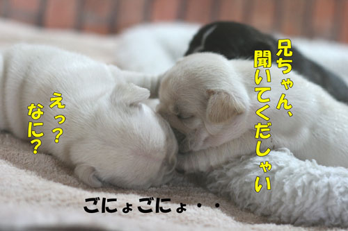 �ե����֥�ɥå����Ҹ�