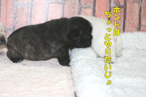 �ե�֥롡�Ҹ�