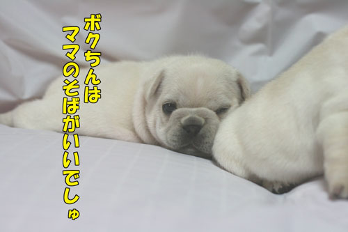 �ե����֥�ɥå����Ҹ�