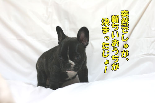 �ե����֥�ɥå���