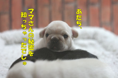 �ե����֥�ɥå����Ҹ�