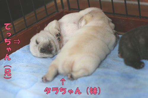 �ե����֥�ɥå����Ҹ�