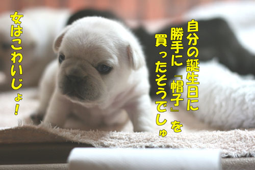 �ե����֥�ɥå����Ҹ�