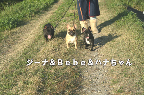 ¥Õ¥ì¥ó¥Á¥Ö¥ë¥É¥Ã¥°£²