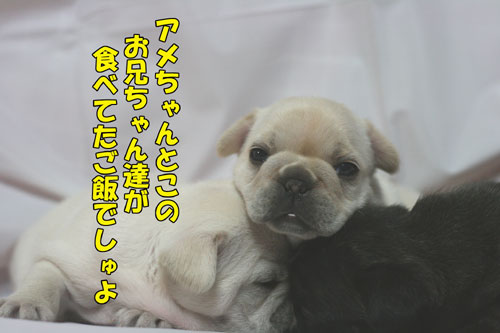 �ե����֥�ɥå����Ҹ�