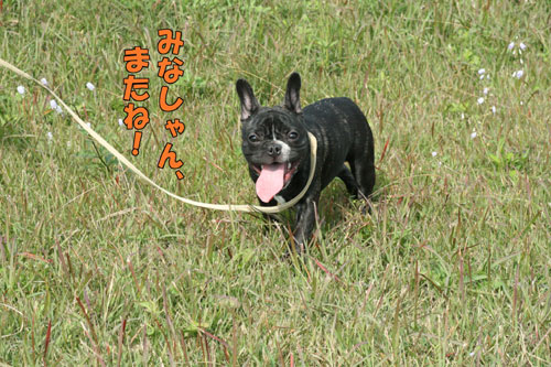 ¥Õ¥ì¥ó¥Á¥Ö¥ë¥É¥Ã¥°£µ