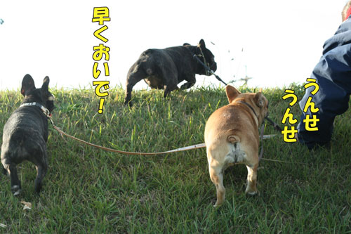 ¥Õ¥ì¥ó¥Á¥Ö¥ë¥É¥Ã¥°£±
