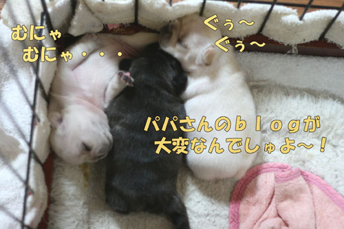 �ե����֥�ɥå����Ҹ�