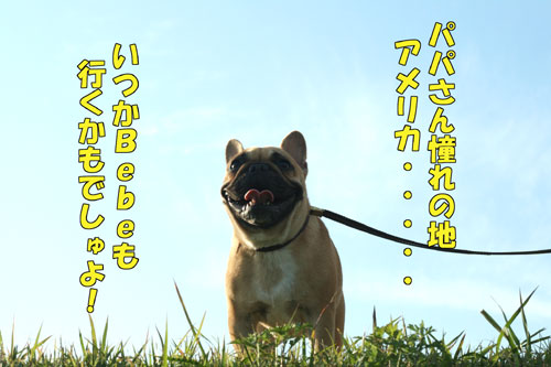 ¥Õ¥ì¥ó¥Á¥Ö¥ë¥É¥Ã¥°£µ