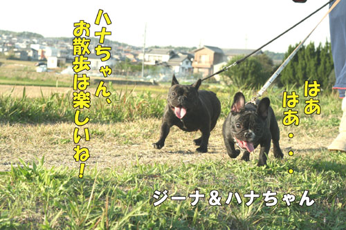 ¥Õ¥ì¥ó¥Á¥Ö¥ë¥É¥Ã¥°£±