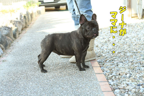 ¥Õ¥ì¥ó¥Á¥Ö¥ë¥É¥Ã¥°£³
