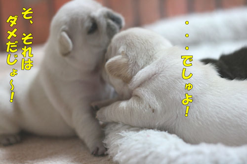 �ե����֥�ɥå����Ҹ�