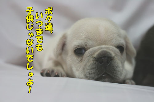 �ե����֥�ɥå����Ҹ�