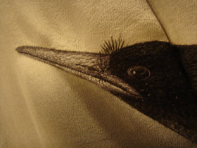 DSC09994