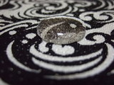 DSCF5823