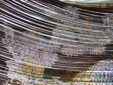 DSCF6151