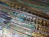 DSCF6155