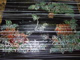DSCF6146
