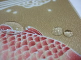DSCF6742