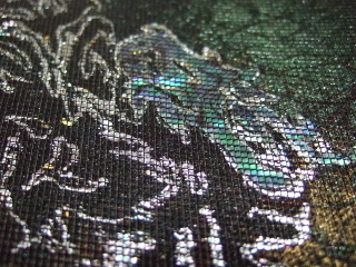 DSCF5533