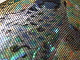 DSCF6452