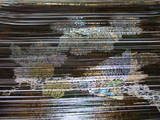 DSCF6150