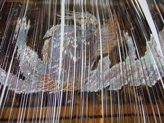 ζ