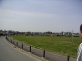 tamagawa
