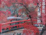 河鹿橋雑誌