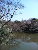 鶴岡八幡宮