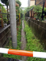 豪雨