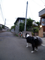 おはよ-
