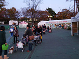 犬祭り