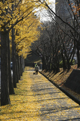 歩道