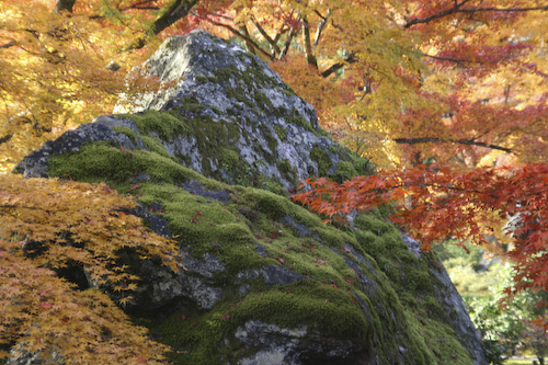 獅子岩