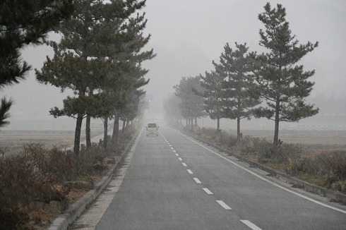 雪模様