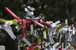 omikuji