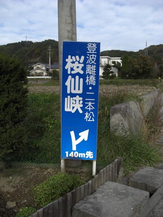 CIMG0461