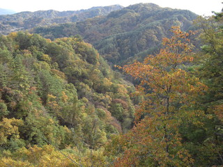 CIMG0476