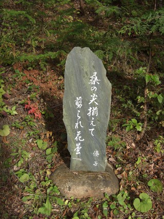 CIMG0467