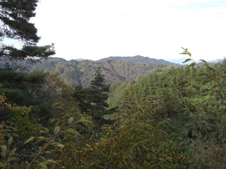 CIMG0477