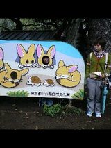f931411f.JPG