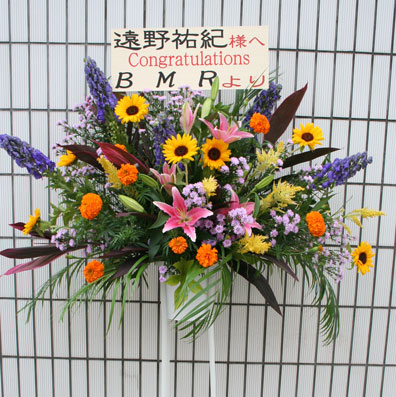 bmr����